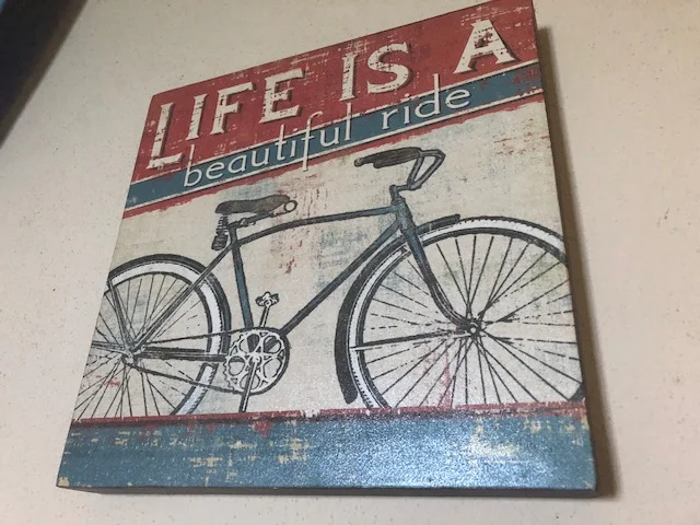 Lifeisabeautifulride.jpg