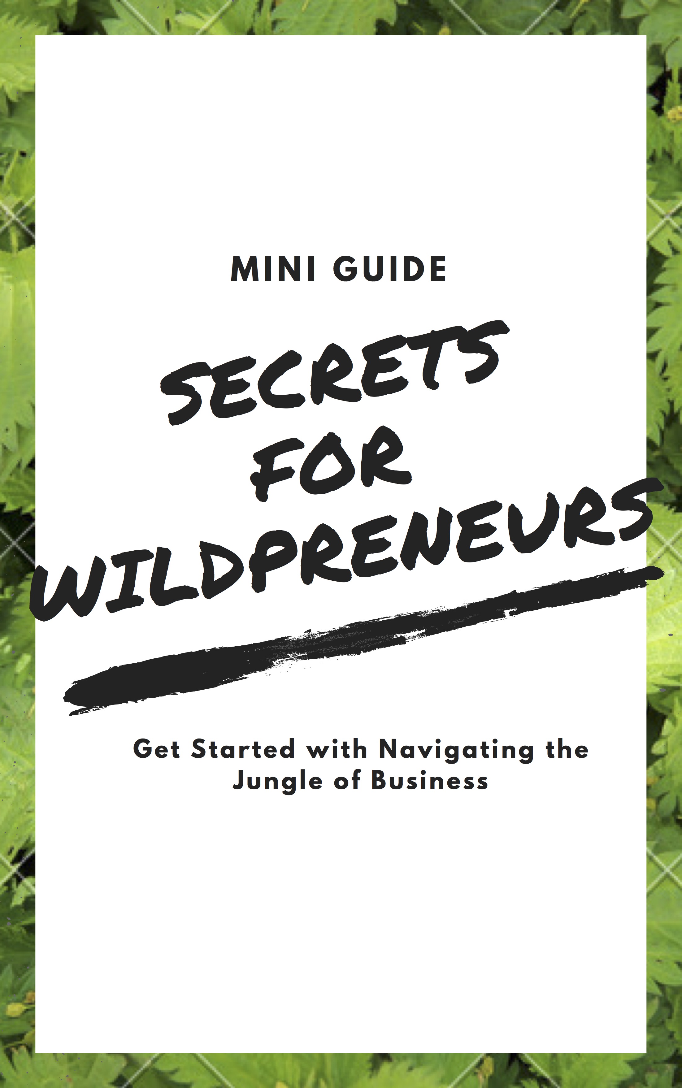 GuideforEntrepreneurs.jpg