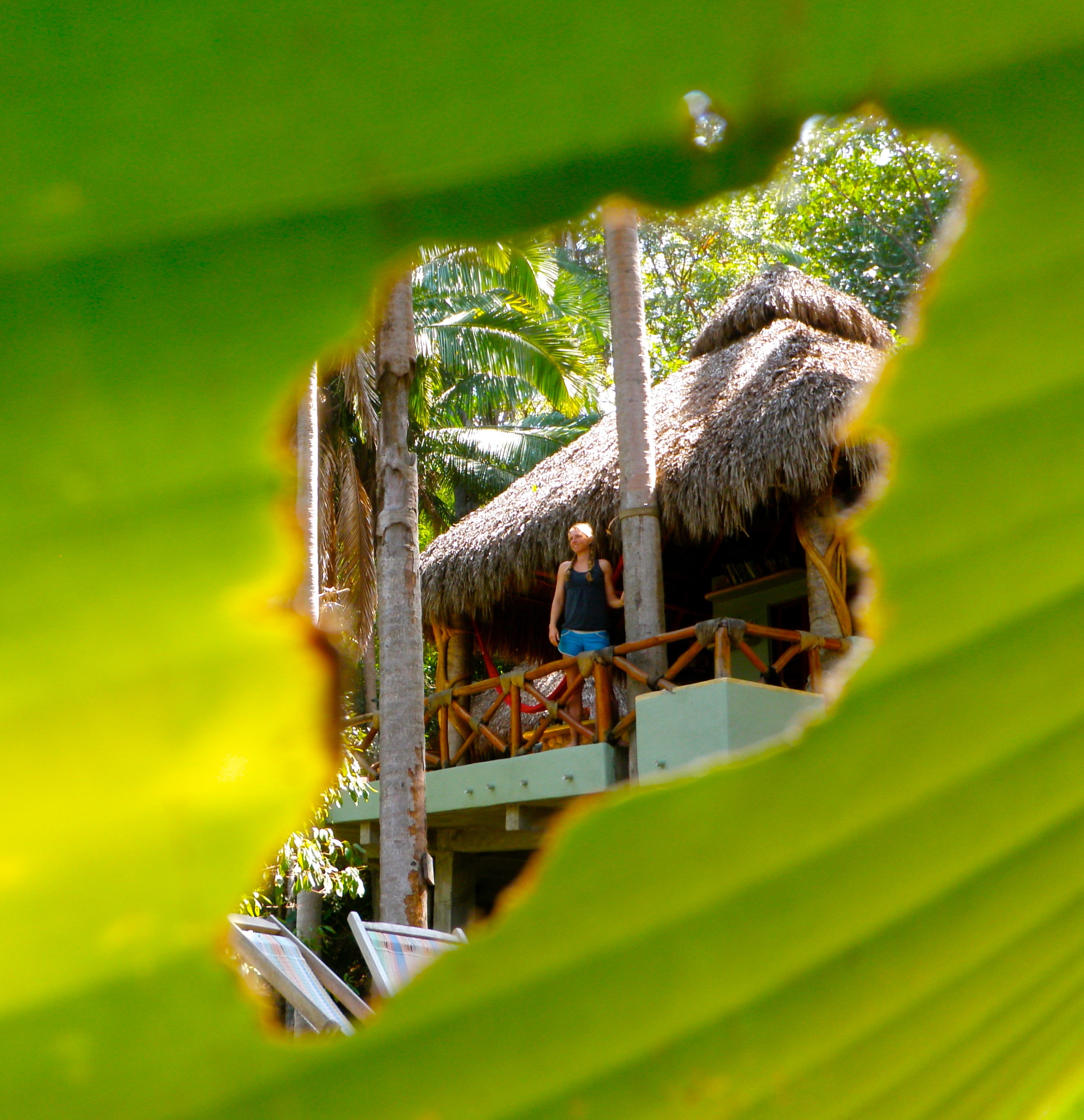 Tailwind Jungle Lodge