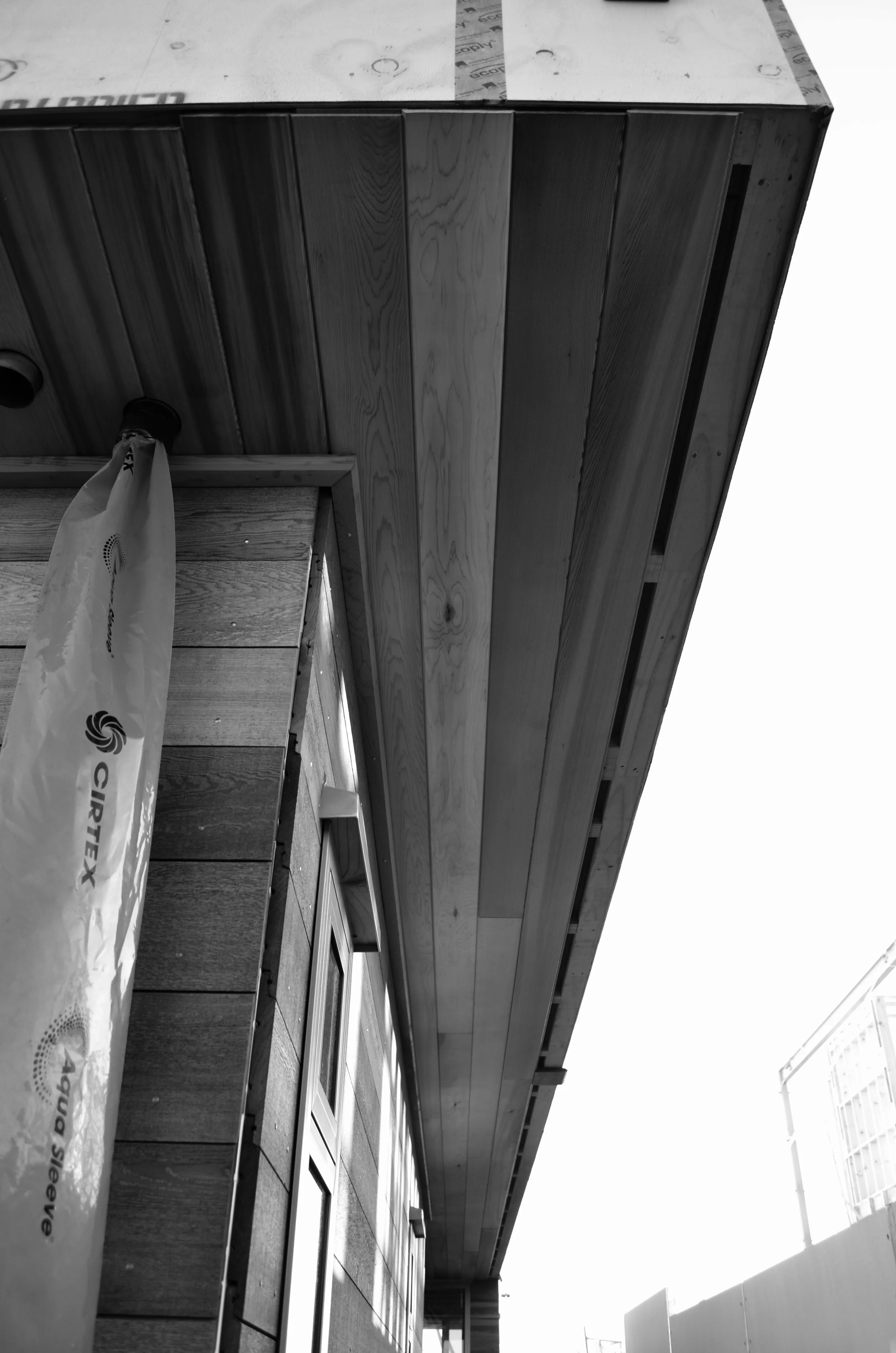 DSC_4081.JPG
