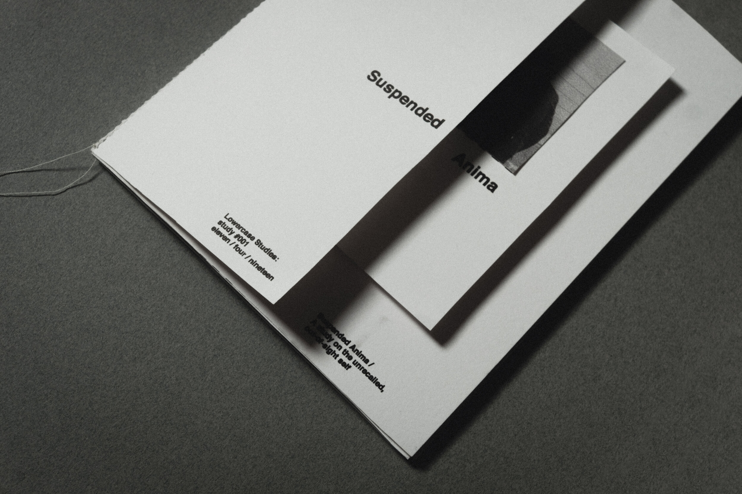 Lowercase Studies Title.jpg