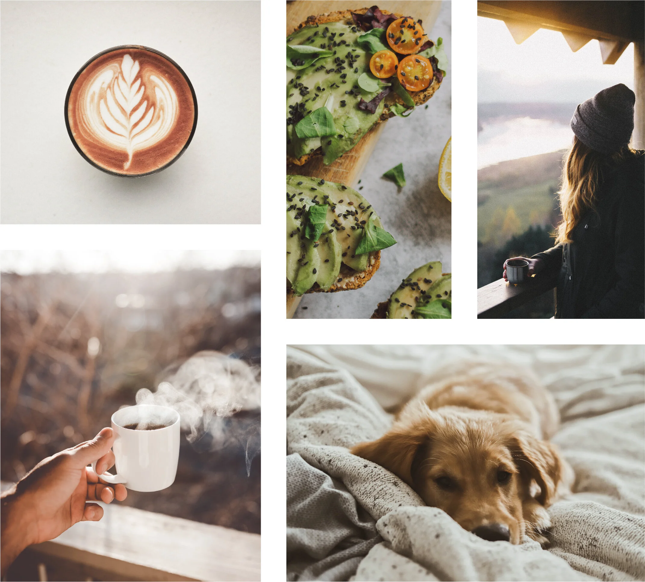 Aosa Portfolio Images1-04.jpg