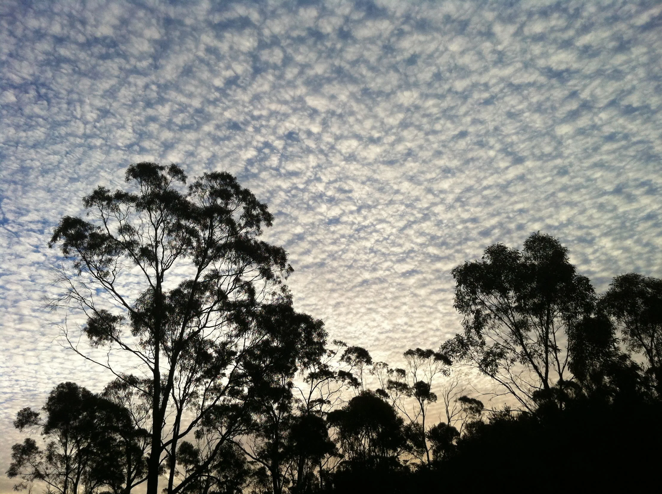 Incredible clouds...