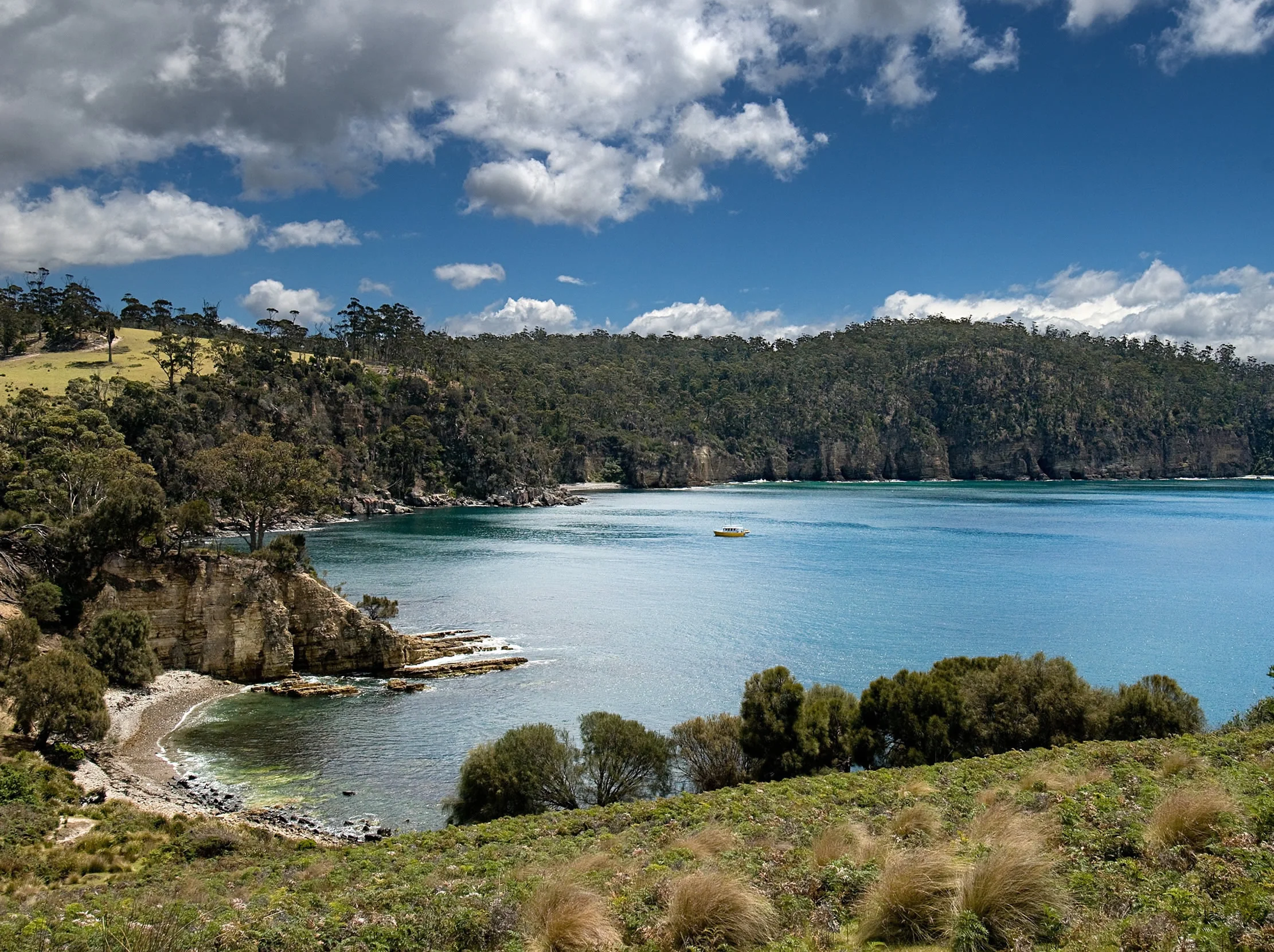 Variety Bay, Bruny Island is so gorgeous...