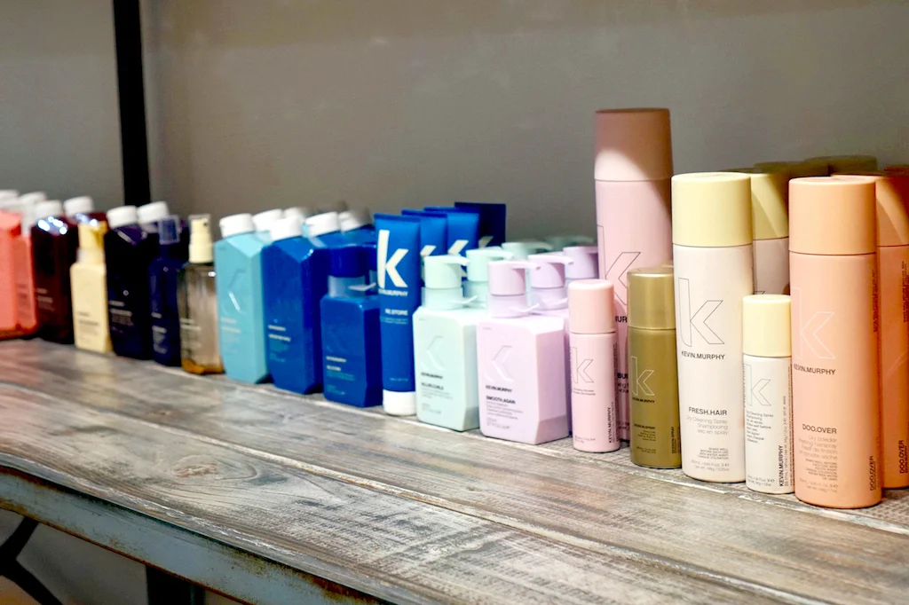 HOS_SALON_P10.jpg
