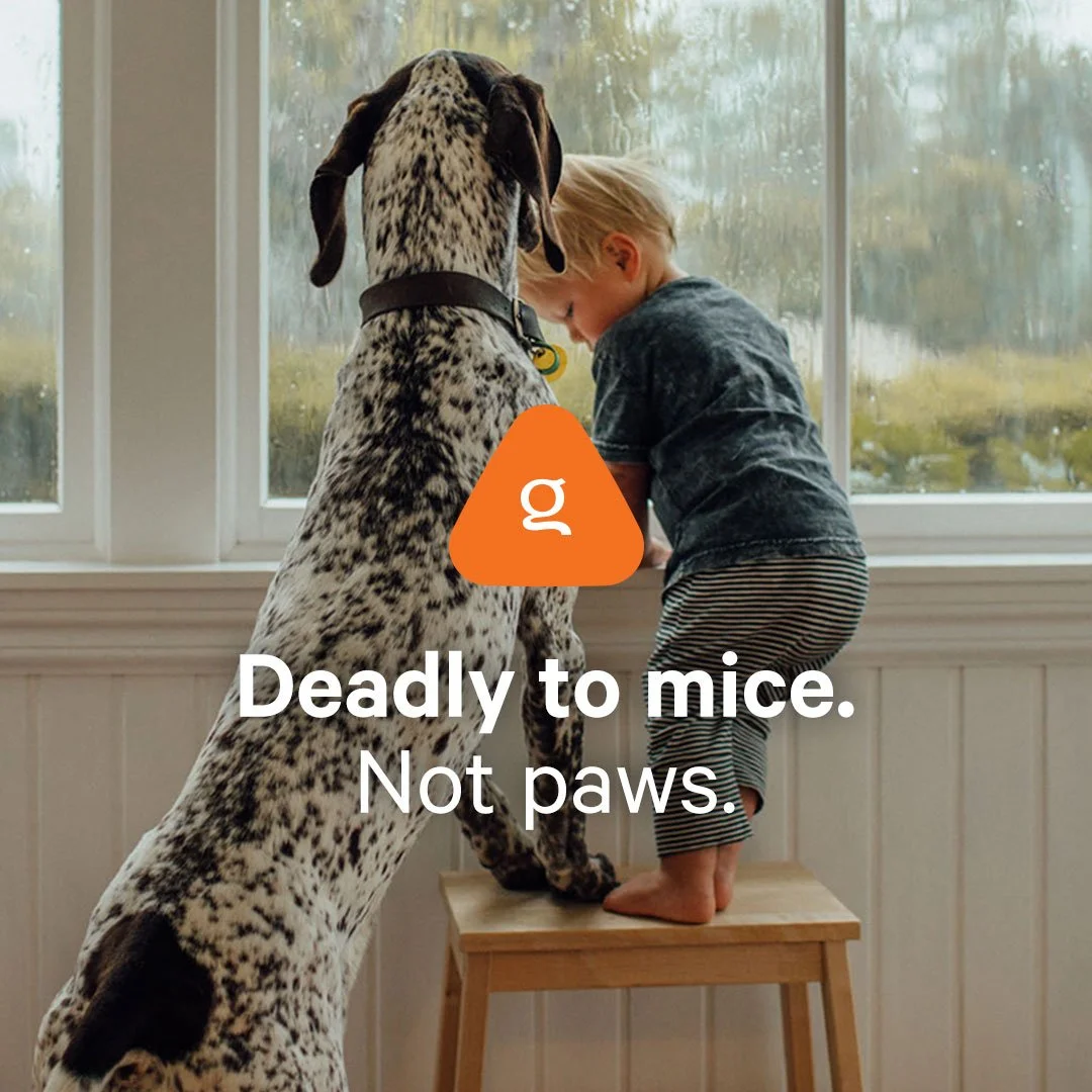 Meta_Mouse_KidDog_DeadlyMiceNotPaws_1080-1080.jpg