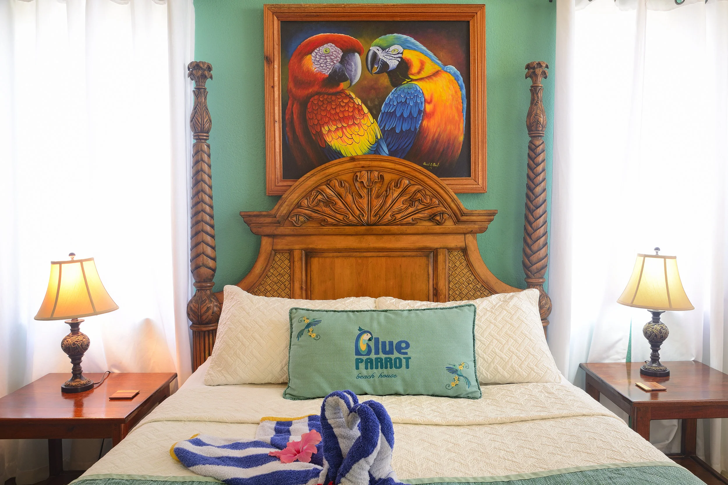 Lower Parrot Bed.jpg