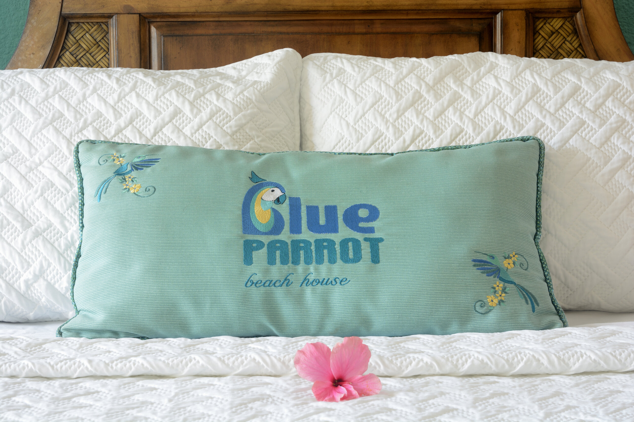 Blue Parrot pillow.jpg