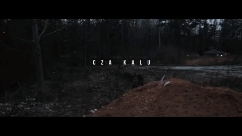 giphy (29).gif