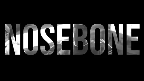 nosebone.gif