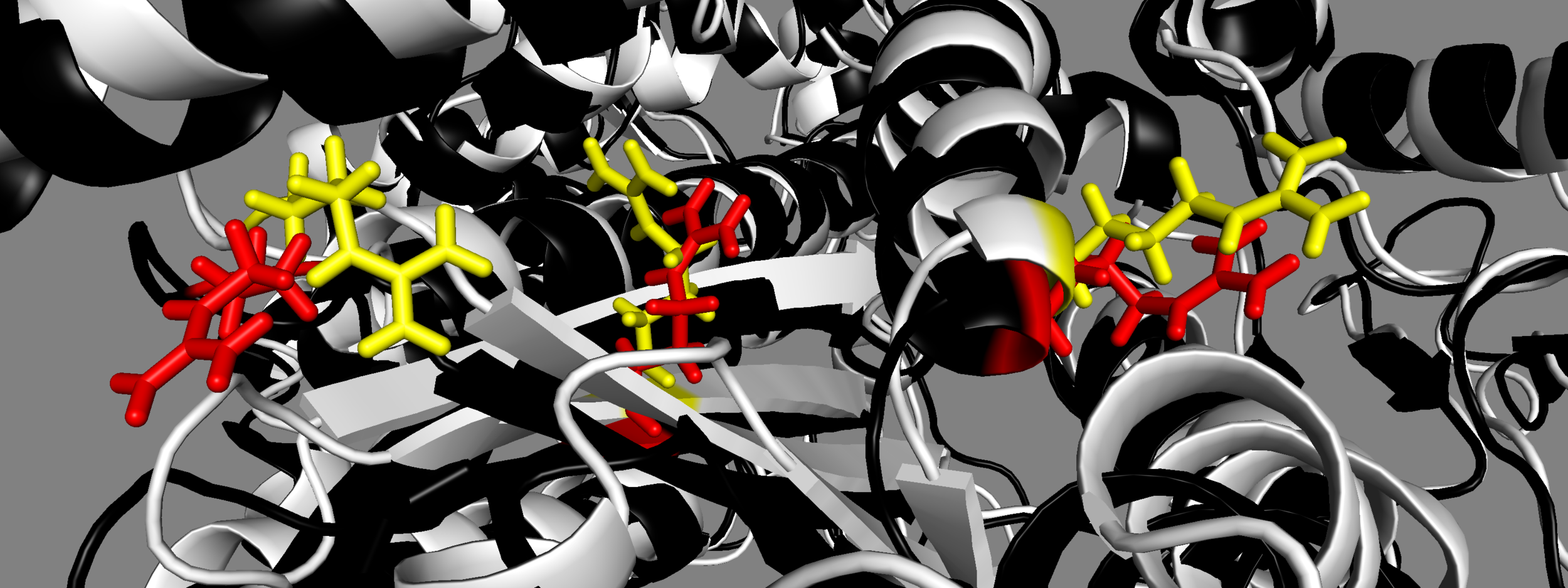 MS03: yellow &nbsp; &nbsp; 5TBY: red &nbsp; &nbsp; From left to right, mesa residues Arg453, Arg249, Arg663 &nbsp; &nbsp;Note different orientations of side chains for MS03 and 5TBY