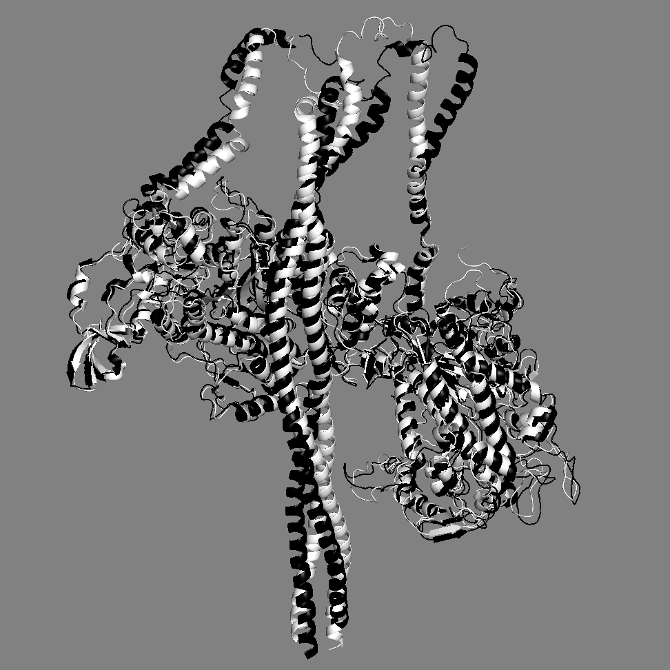 Same as above without LCs