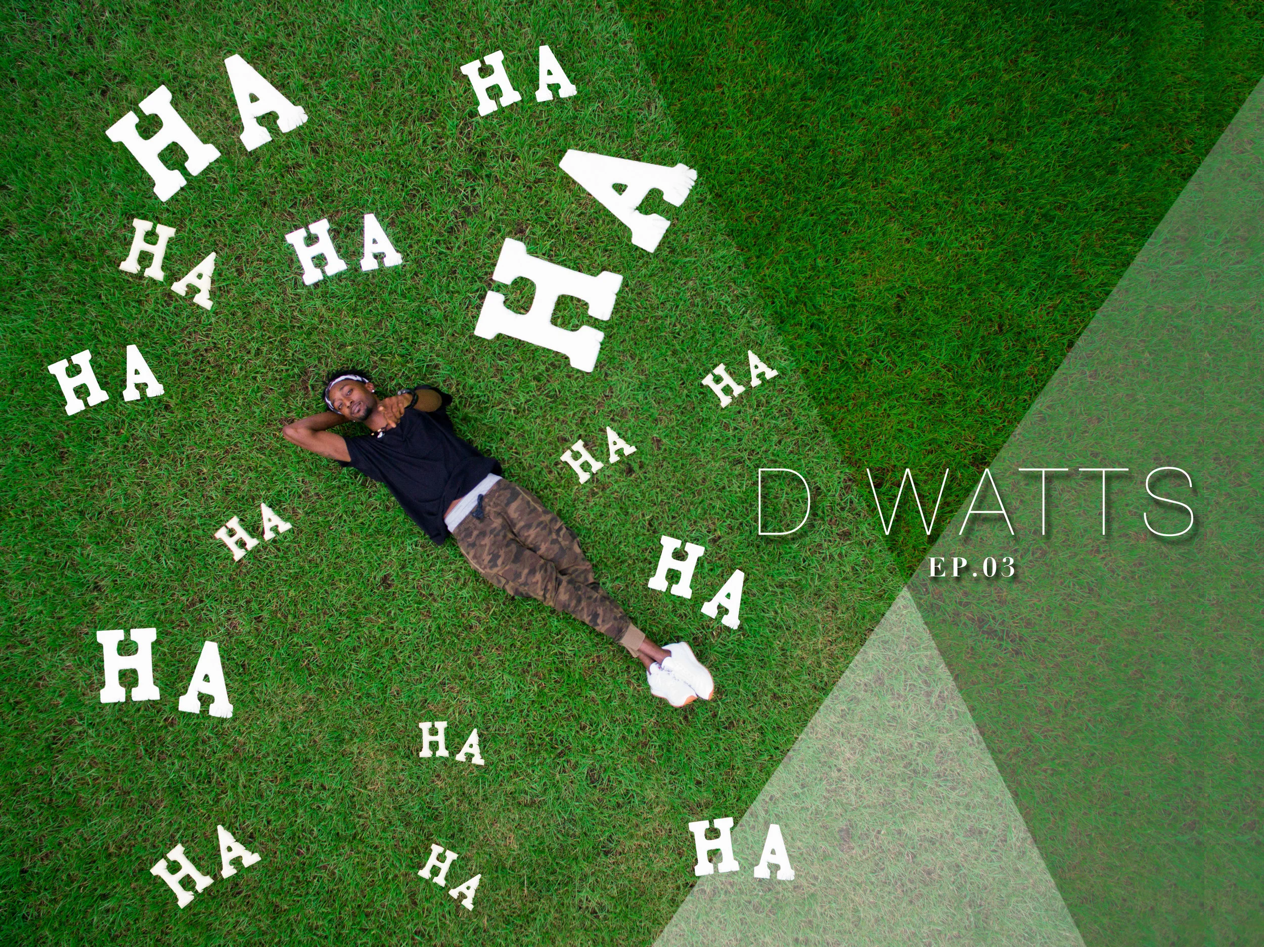 D Watts Fli Dialogues.jpg