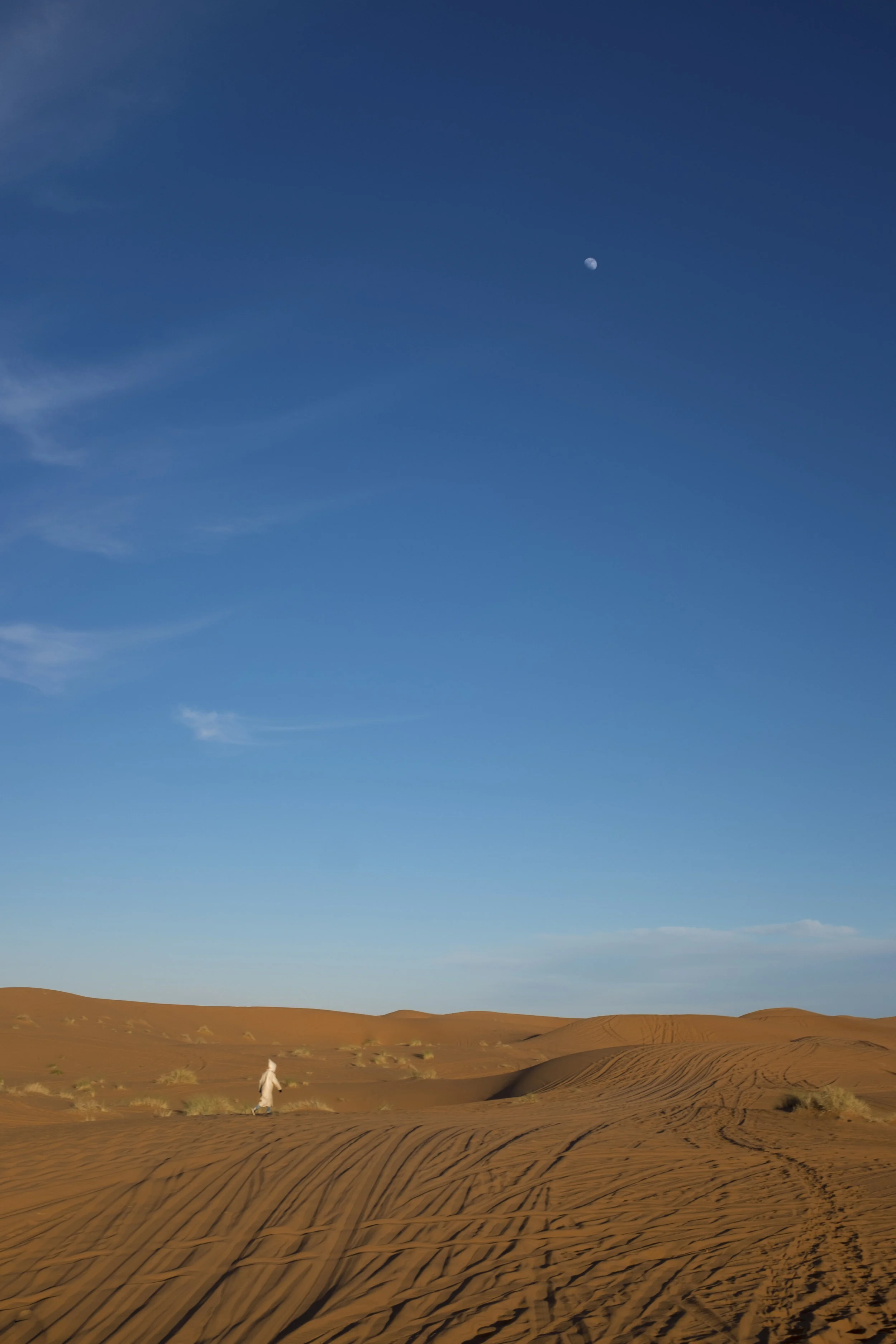 DSCF8863.jpg
