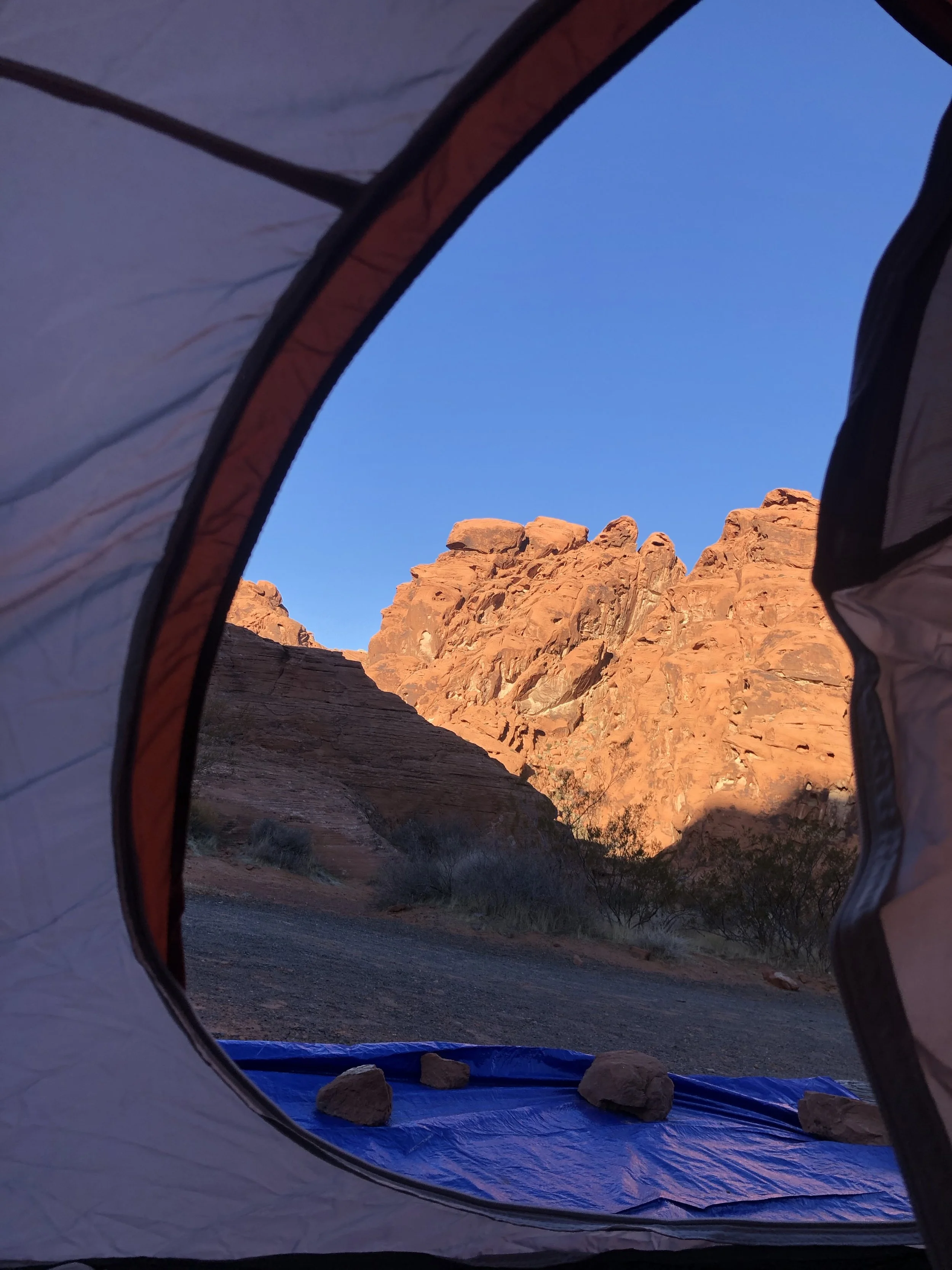 What a way to wake up!