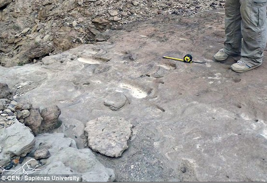 Fossil footprints discovered in Eritrea