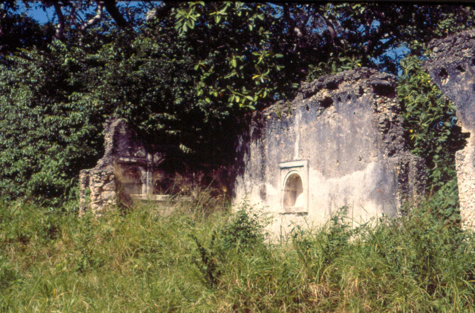 Low Res Shanga mosque ruins with vegetation, Shanga, Pate Island, Ke.jpg