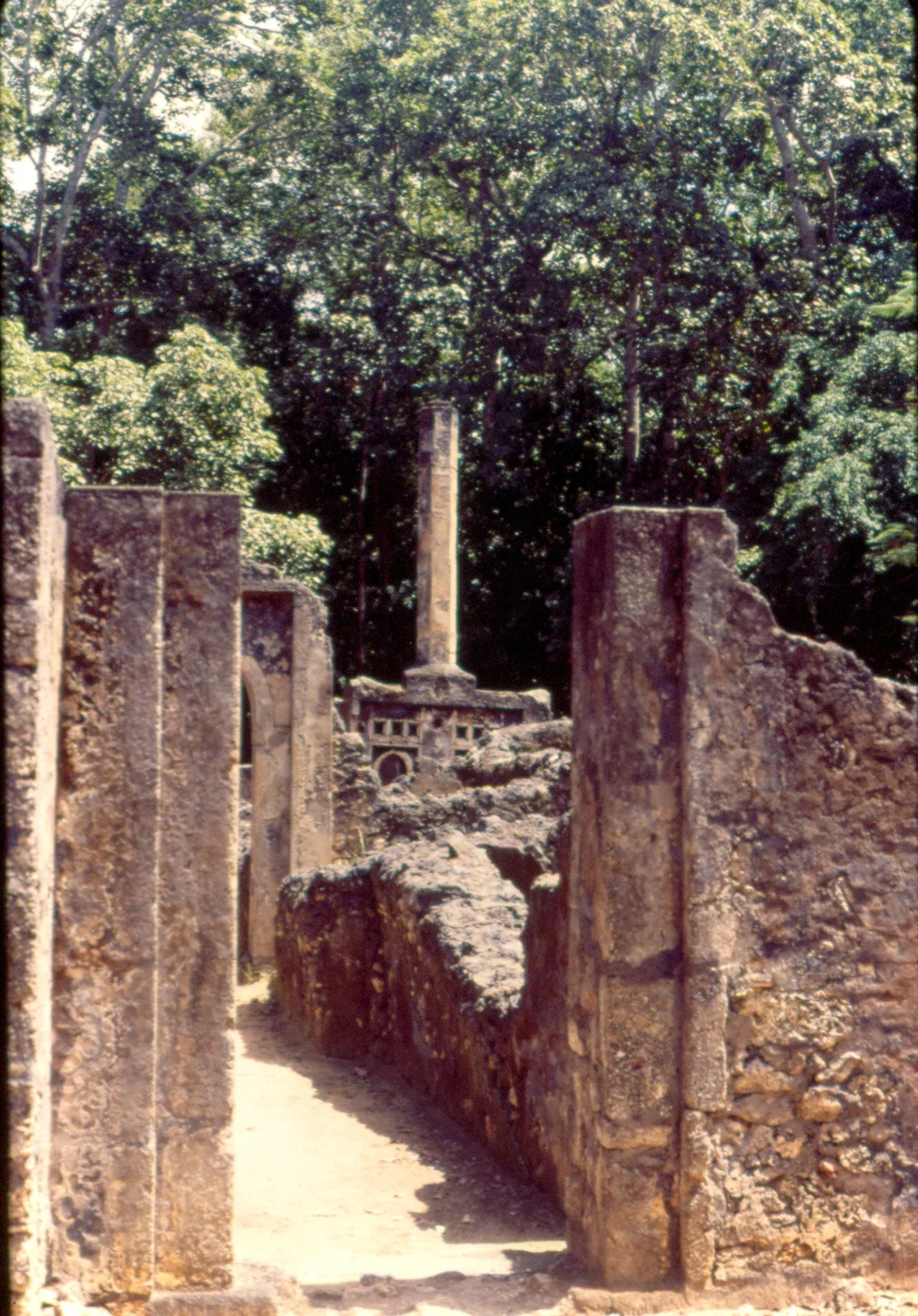 Gedi Pillar Tomb, Gedi, Kenya, Summer 1994, Photo by Matt Cu (2).jpg