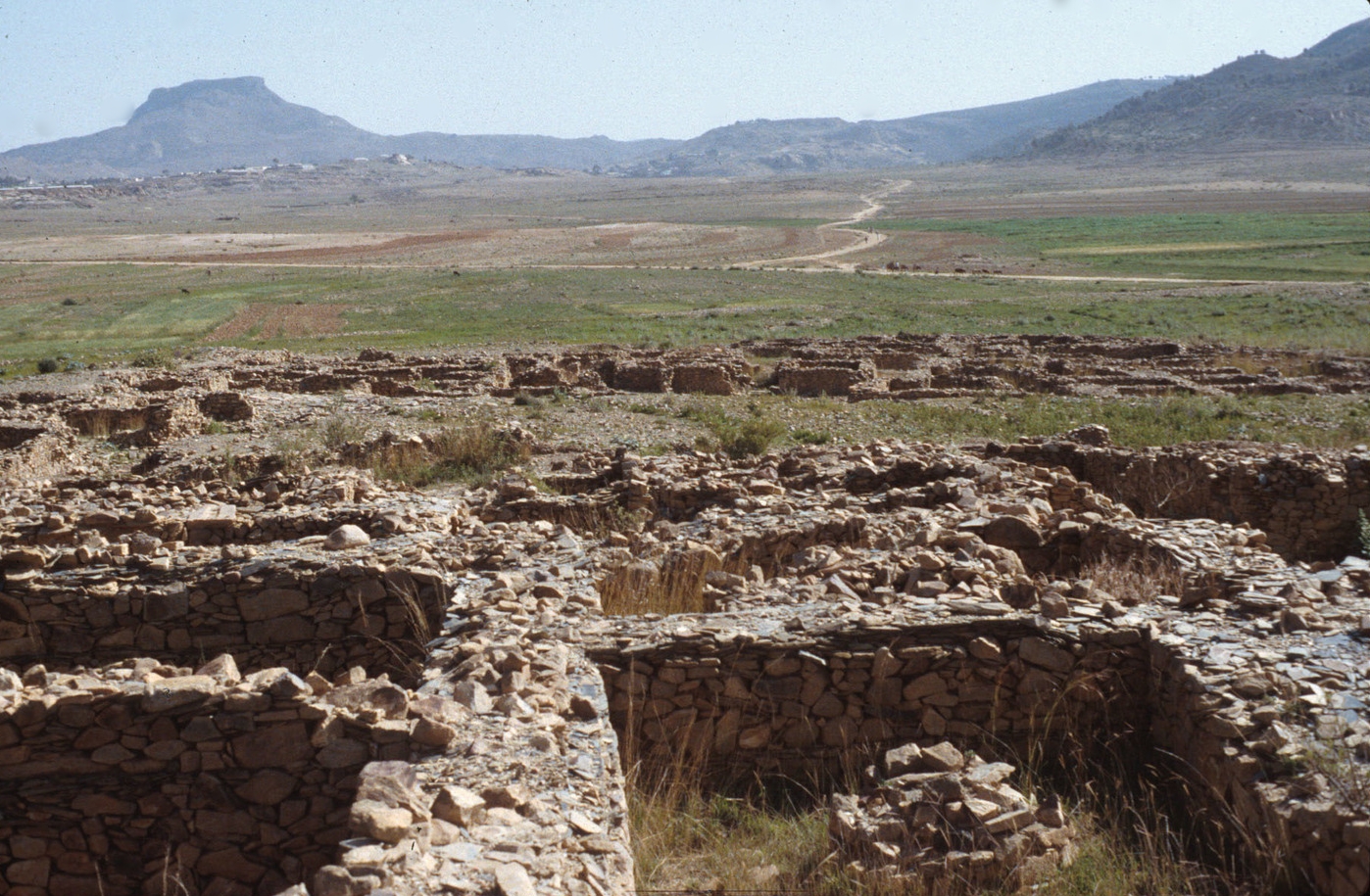 Ruins of Matara with Grain Fields.jpg
