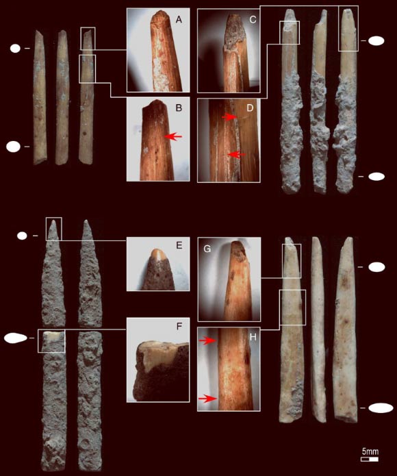 Four of the projectile point fragments recovered from Kuumbi Cave: (A, C and G) impact fractures; (B and D) possible retrieval cut marks; (E) rounded tip; (F) post-depositional fracture revealing bone surface; (H) change in surface appearance. Magnification: A, C, G, and H at 65x; B at 85x; D at 100x; E at 200x. Image credit: Michelle C. Langley et al.