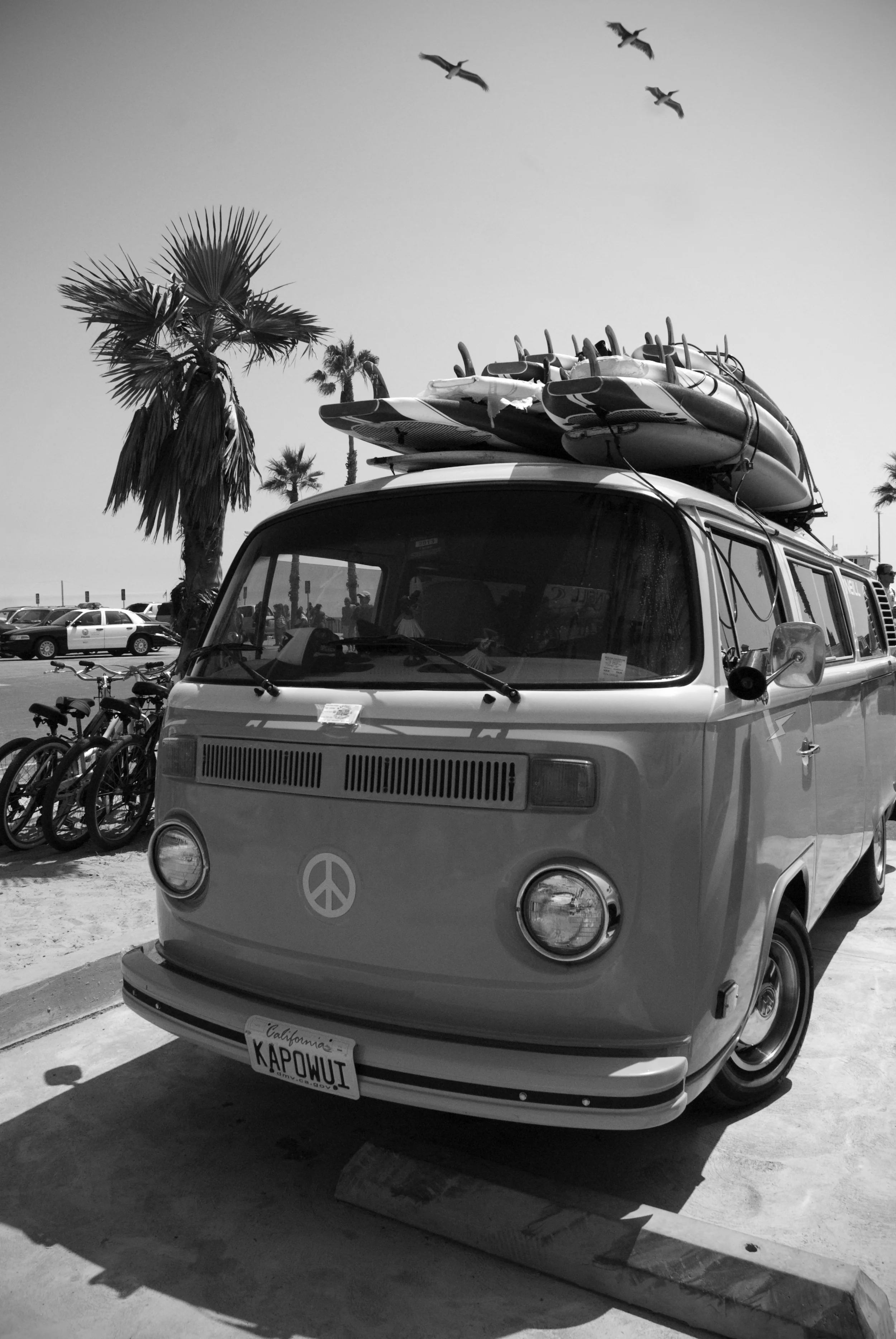 surf_van.jpg