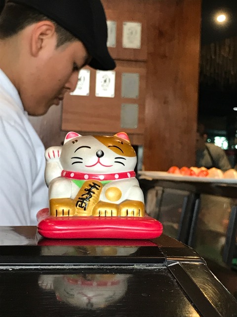 Close up of my view. Hi, wavy cat!!