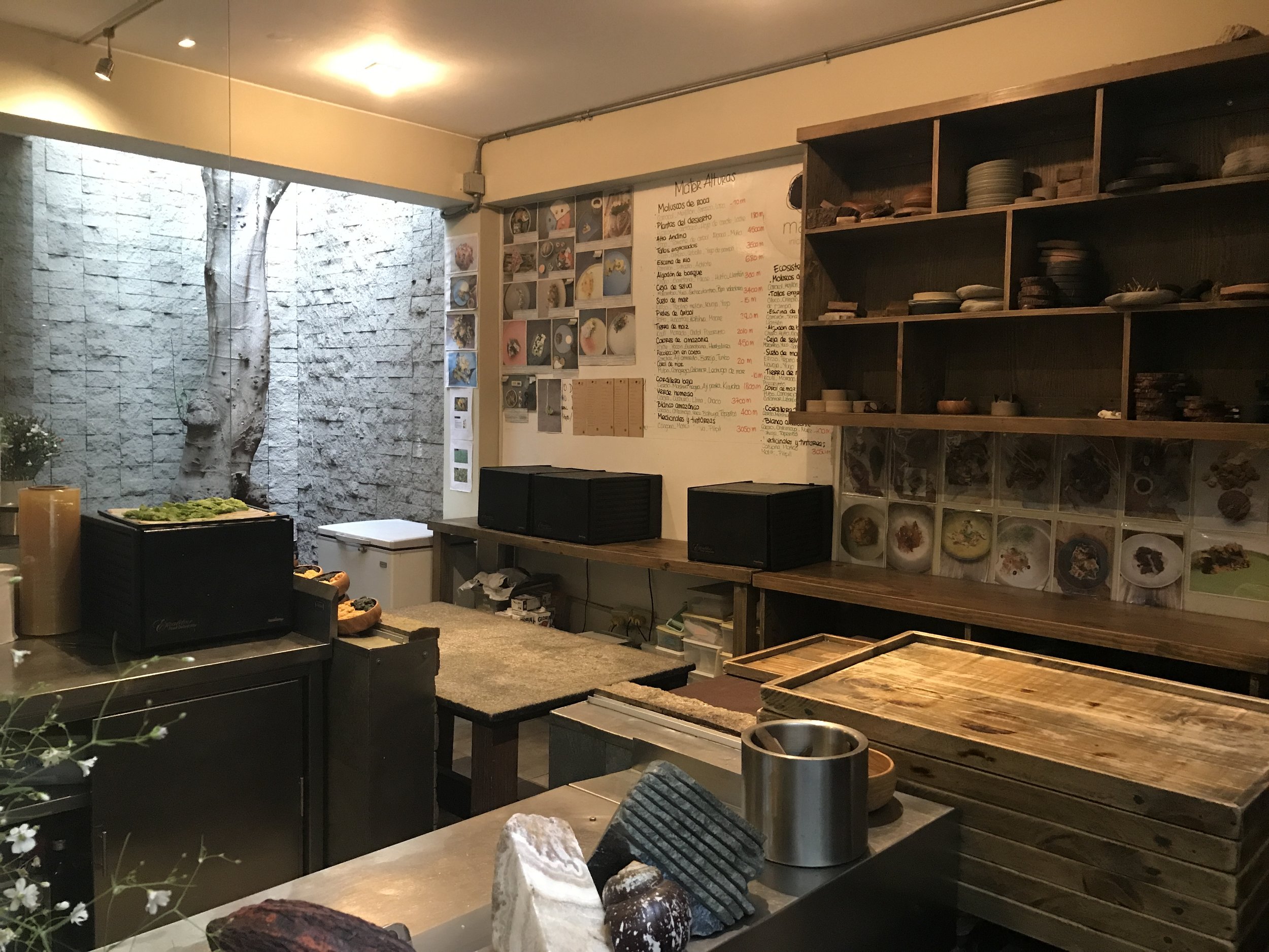 Part of the learning kitchen, where they train chefs from around the world how to make the menu.