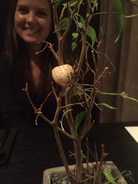Dessert is casually served with an actual tree