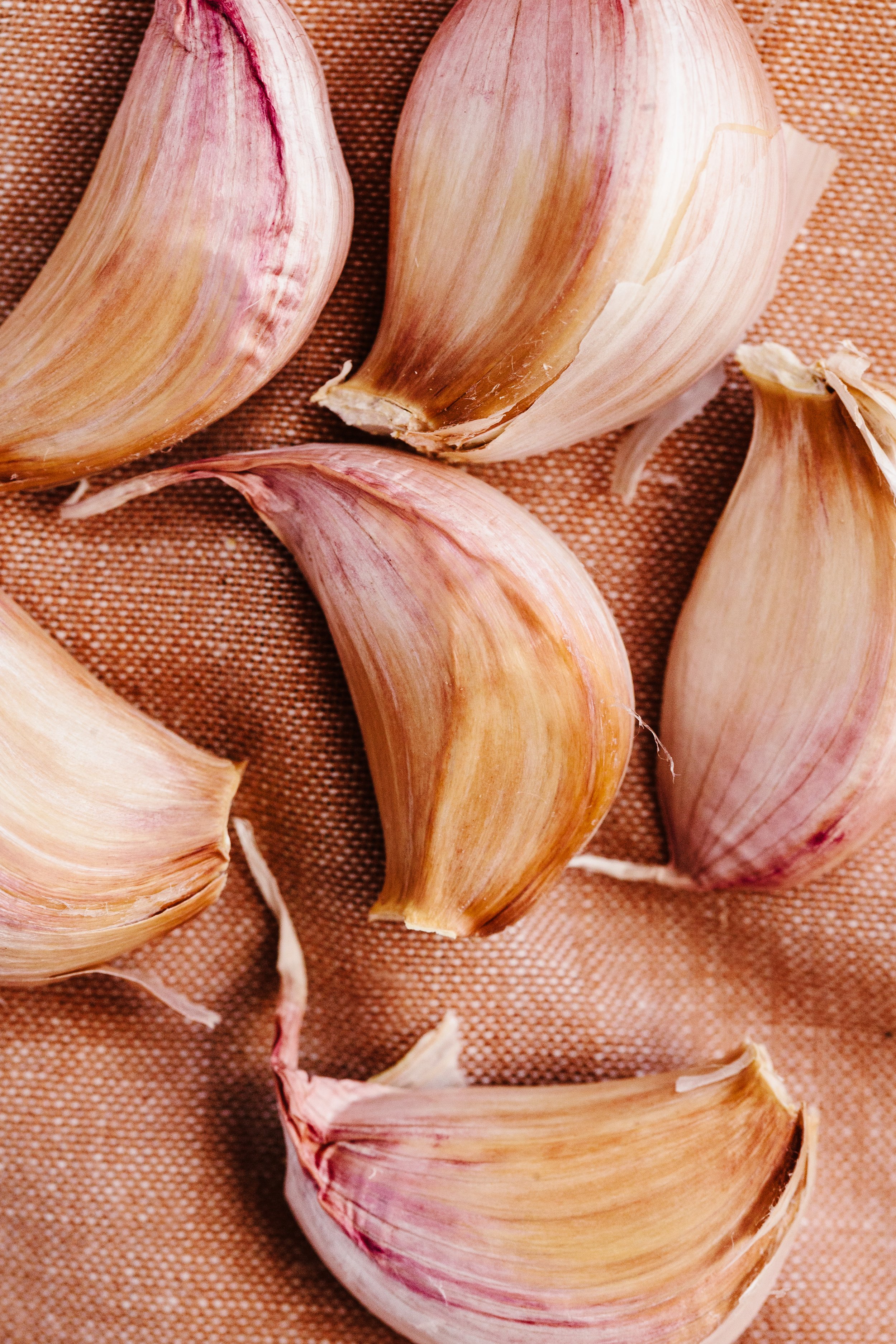 garlic-10.jpg