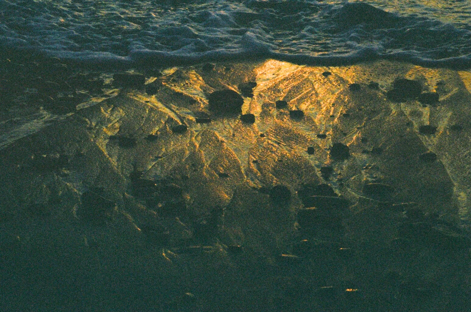 000087320017.jpg