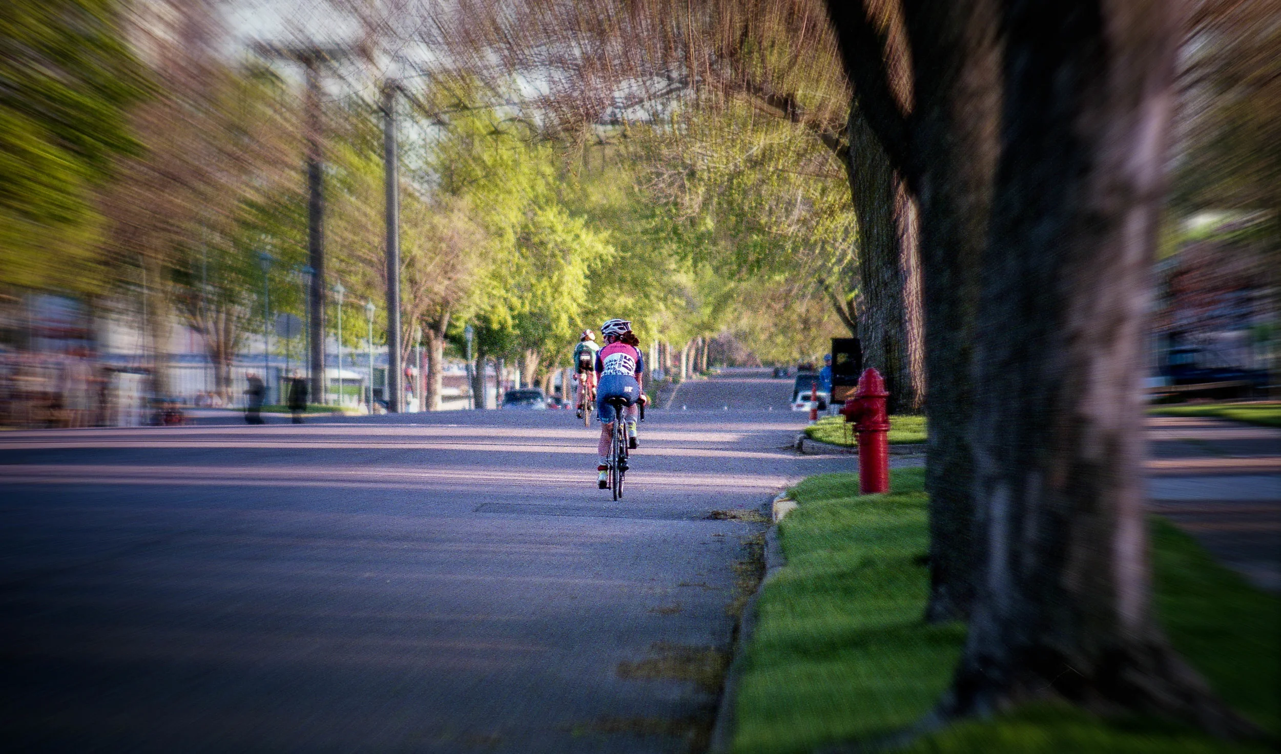 AE1P119-Edit.jpg