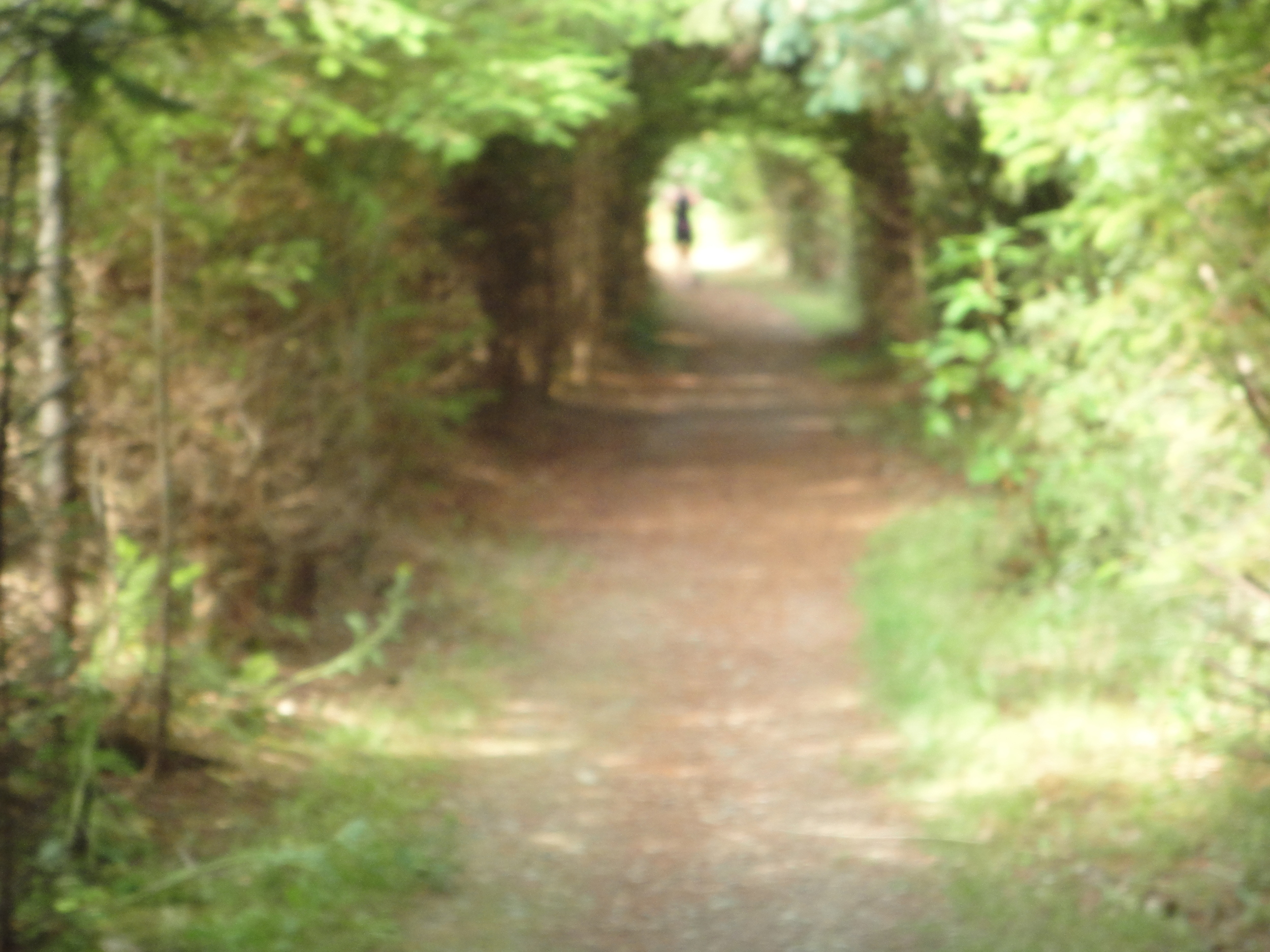 Tunnel trail
