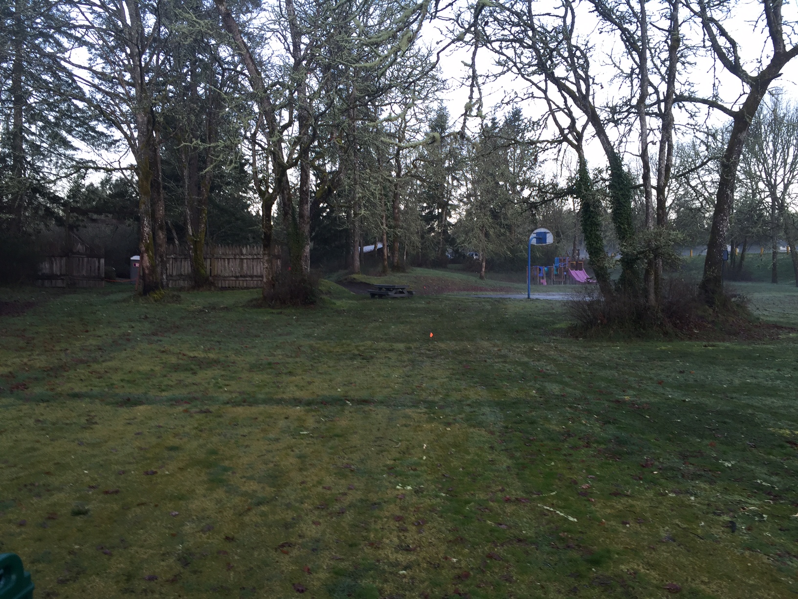 Sellers Park, DuPont, WA