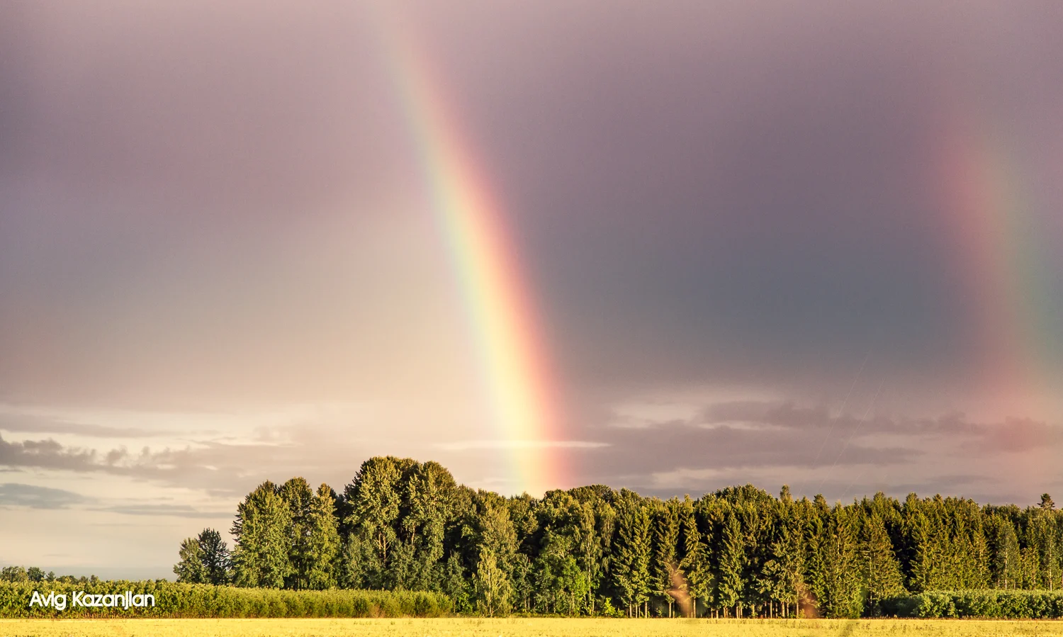 rainbow.jpg