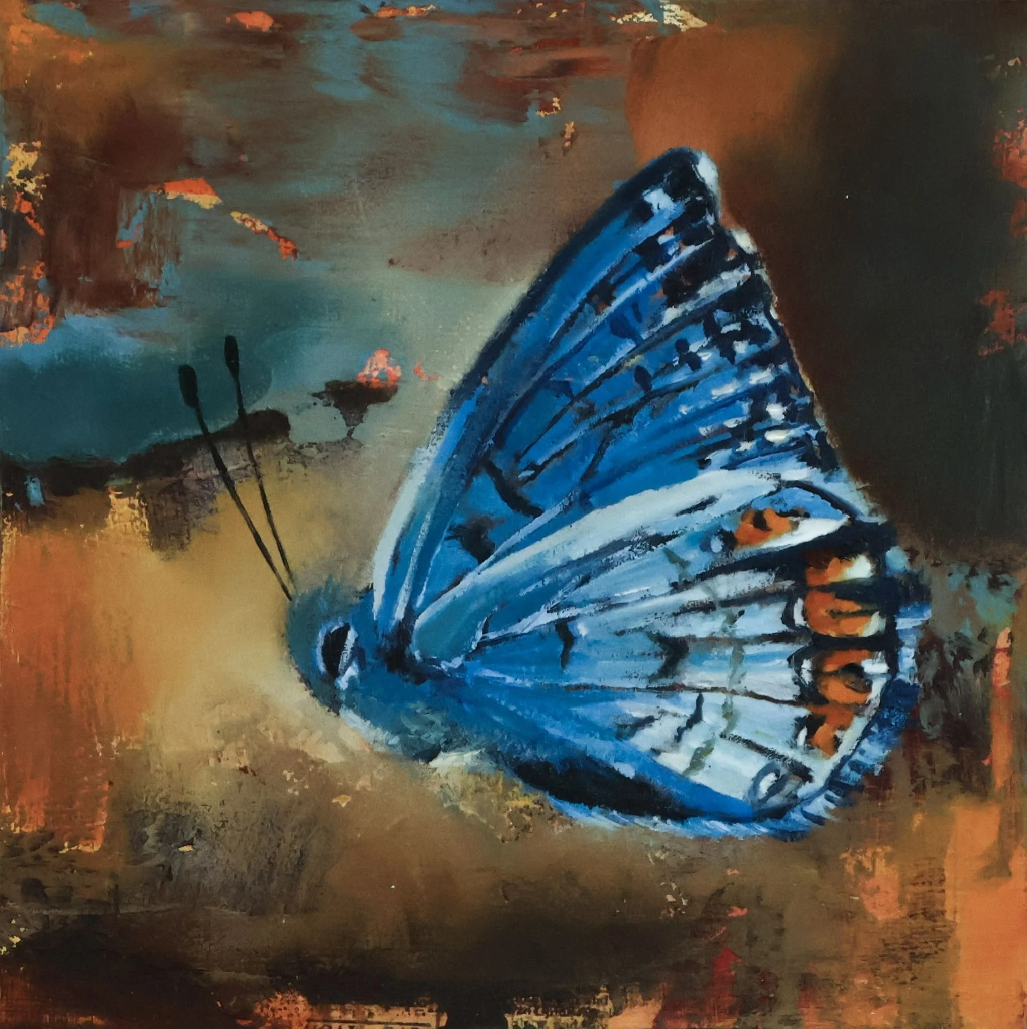 2608-05 Bookshelf Curiosities Butterfly V 6x6 for Web.jpg