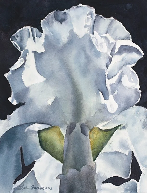 Iris