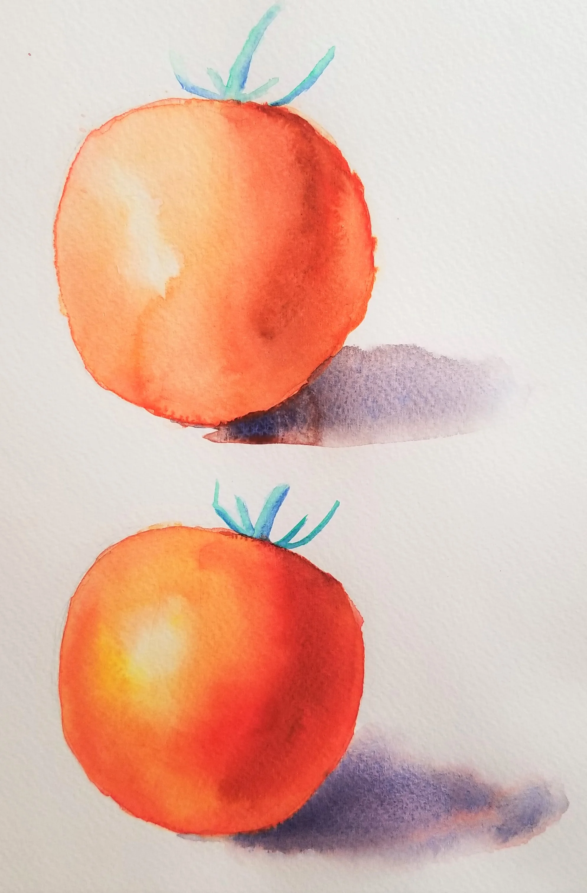 Tomato Comparison.jpg