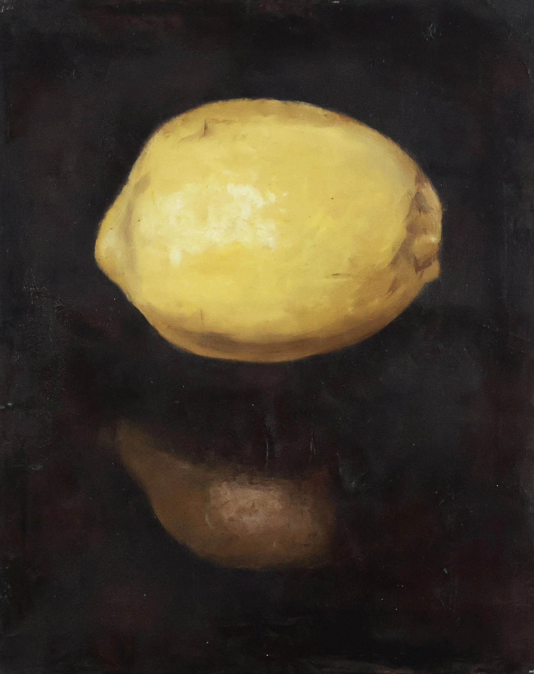2607-06 Lemon 8x10 for Web.jpg