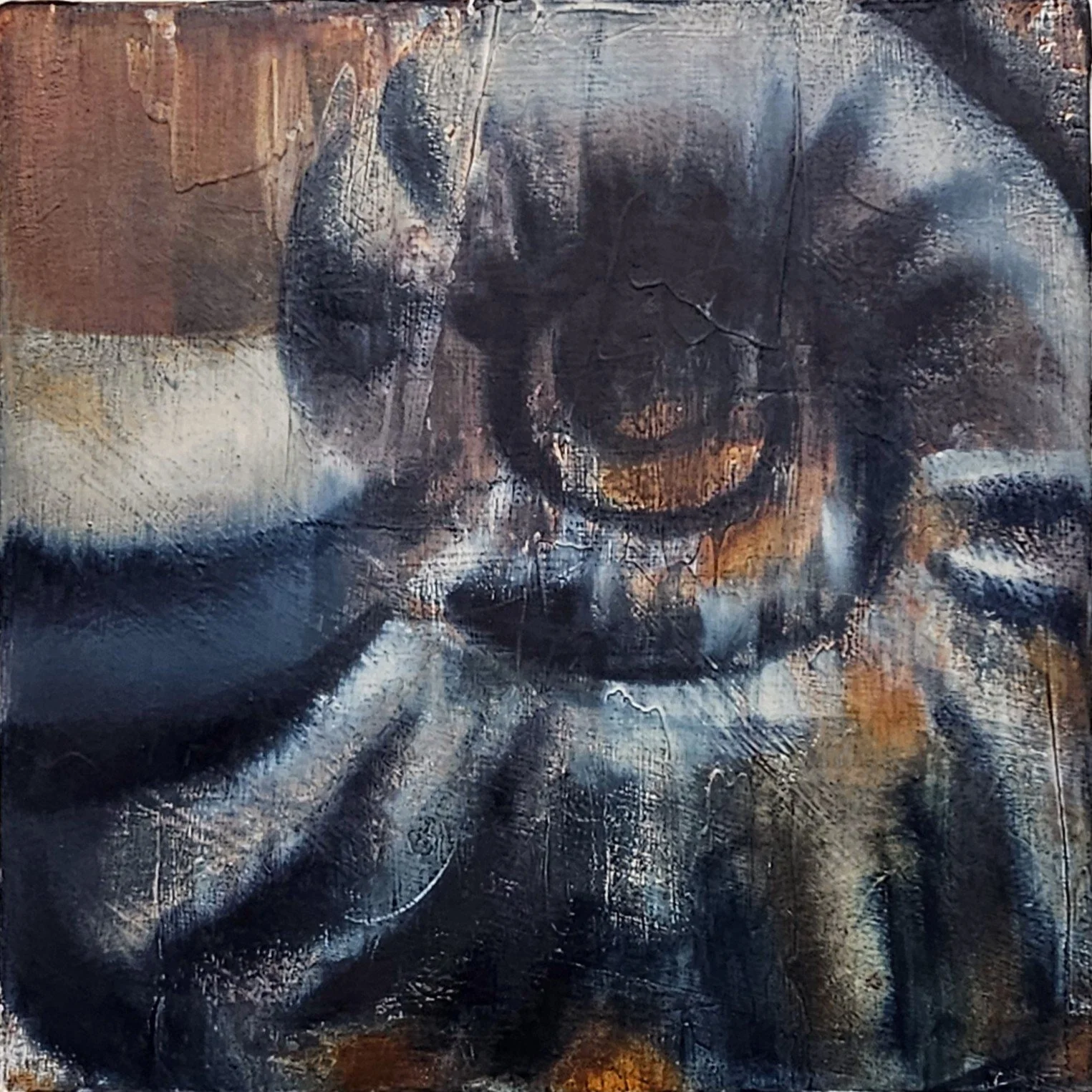 Bookshelf Curiosities Ammonite IV.jpg