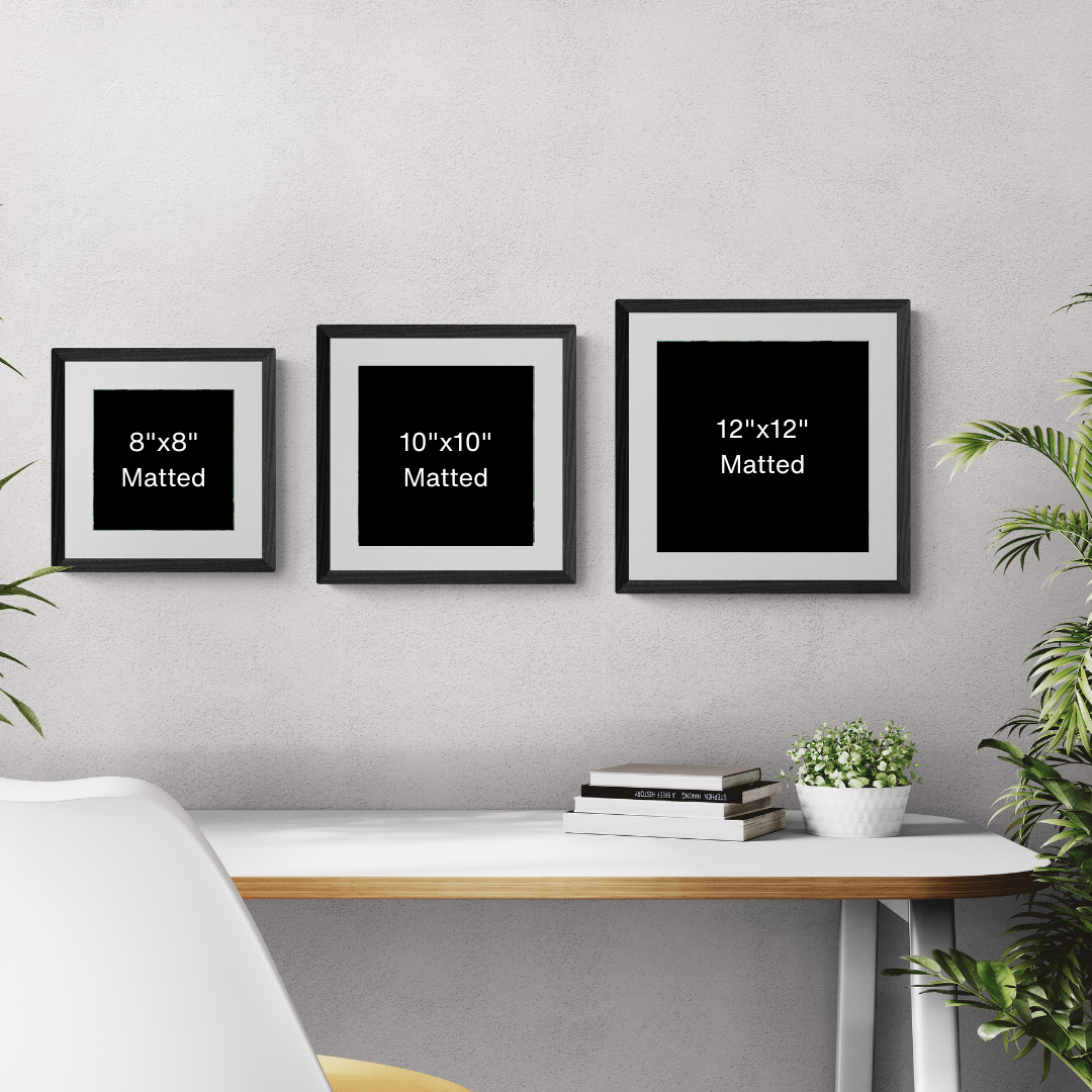 1x1 Matted.png