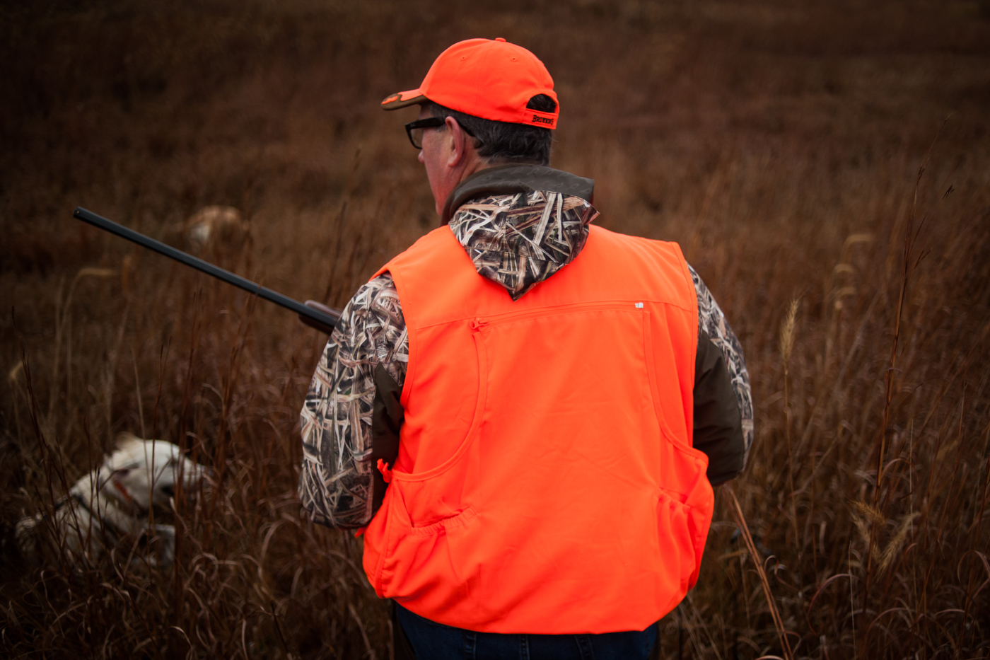  Republican presidential candidate Rick Santorum wades through the deep grass while participating in the Col. Bud Day Pheasant Hunt hosted by Congressman Steve King outside of Akron, Iowa on October 31, 2015.  
