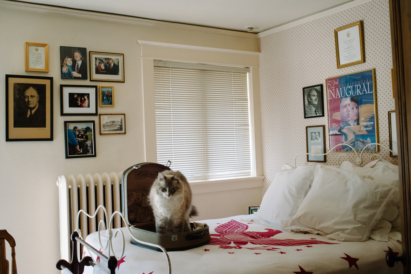 Ghost, the Ankenbrand family's cat stretches after napping in their Democrat-themed guest room of their house in a more historic neighborhood in Ferguson.