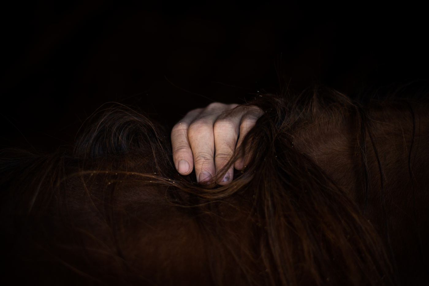  45º24'42.3"N 102º16'54.3"W. 112 miles from the nearest McDonald's. Randy Hapney holds the neck of a horse while doing chiropractic work on a ranch on the old abandoned town of Chance, SD. Equine chiropractic work was generally looked at with suspici