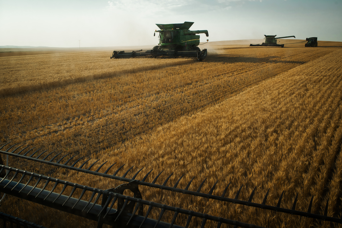  45°29'05.8"N 102°40'44.5"W. 108 miles from the nearest McDonald's.  Harvesters from a major area farm work a wheat field outside of Bison, SD on August 1, 2017. Due to the drought, many area farmers have taken a complete loss on their crops and wint