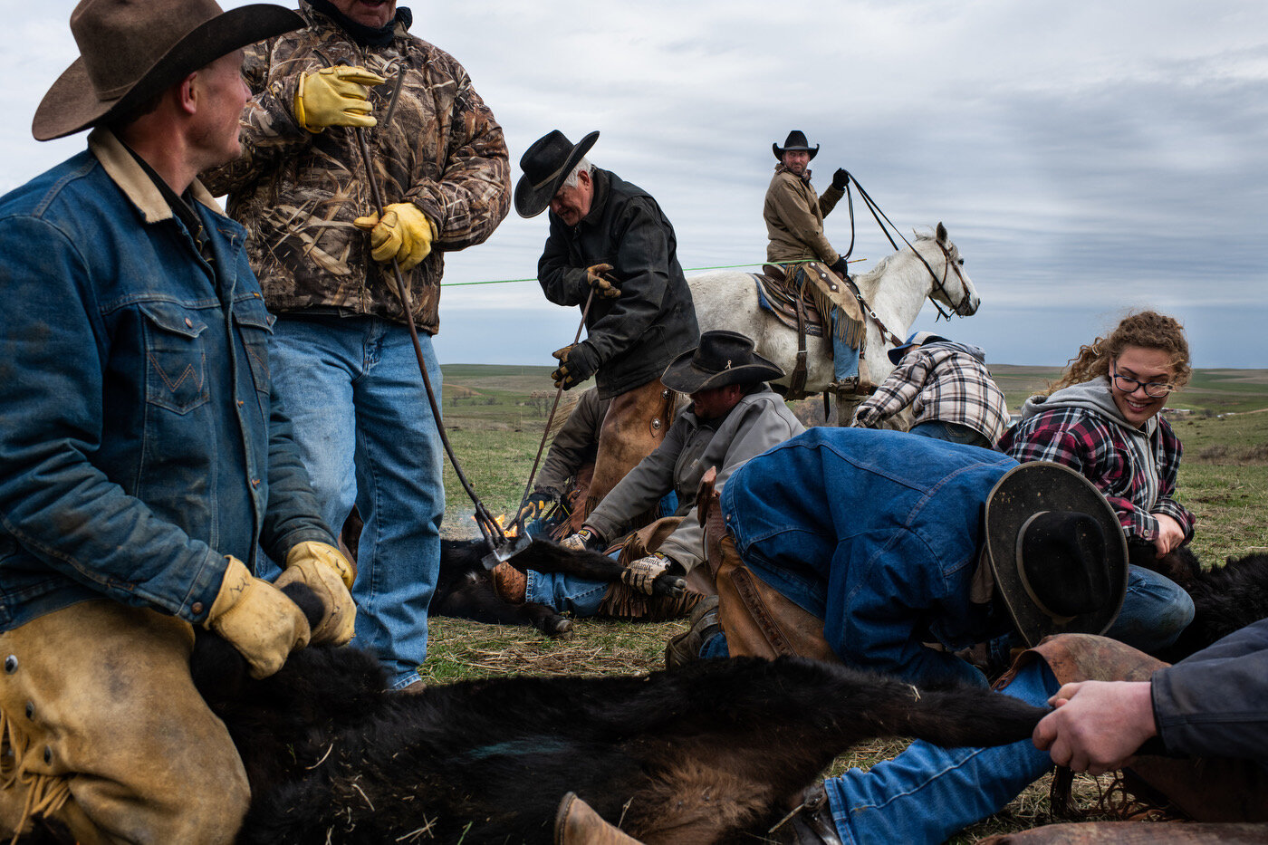  A branding at the Hall ranch in Bison, SD on April 2019.  