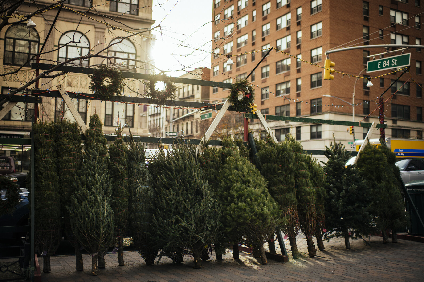  Trees line the sidewalk at a Christmas tree stand on 3rd Avenue and East 84th Street on the Upper East Side of Manhattan. 