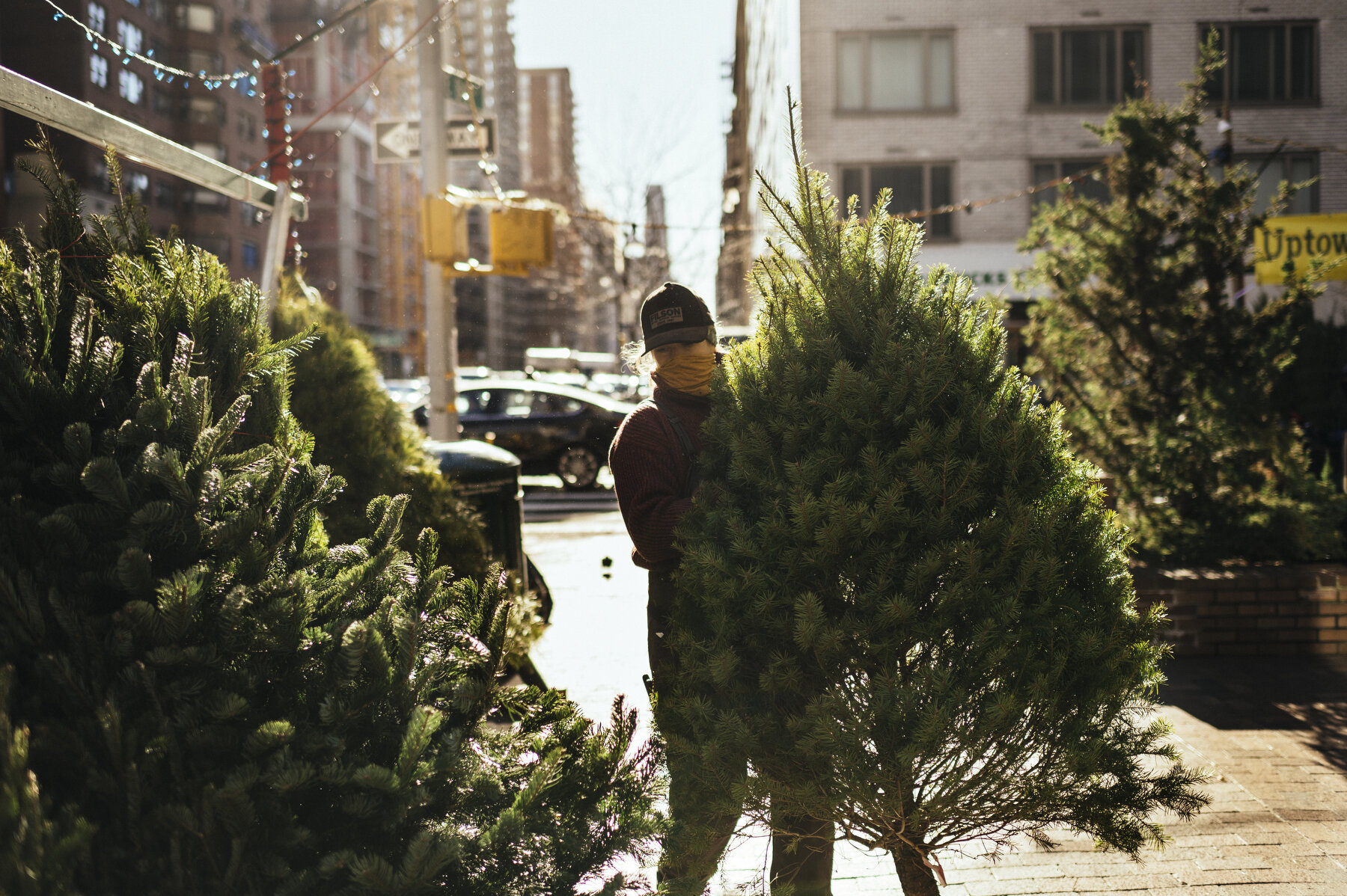  Emily Mullen, a Christmas tree merchant for Uptown Christmas Trees, moves trees to display them for passing customers. 