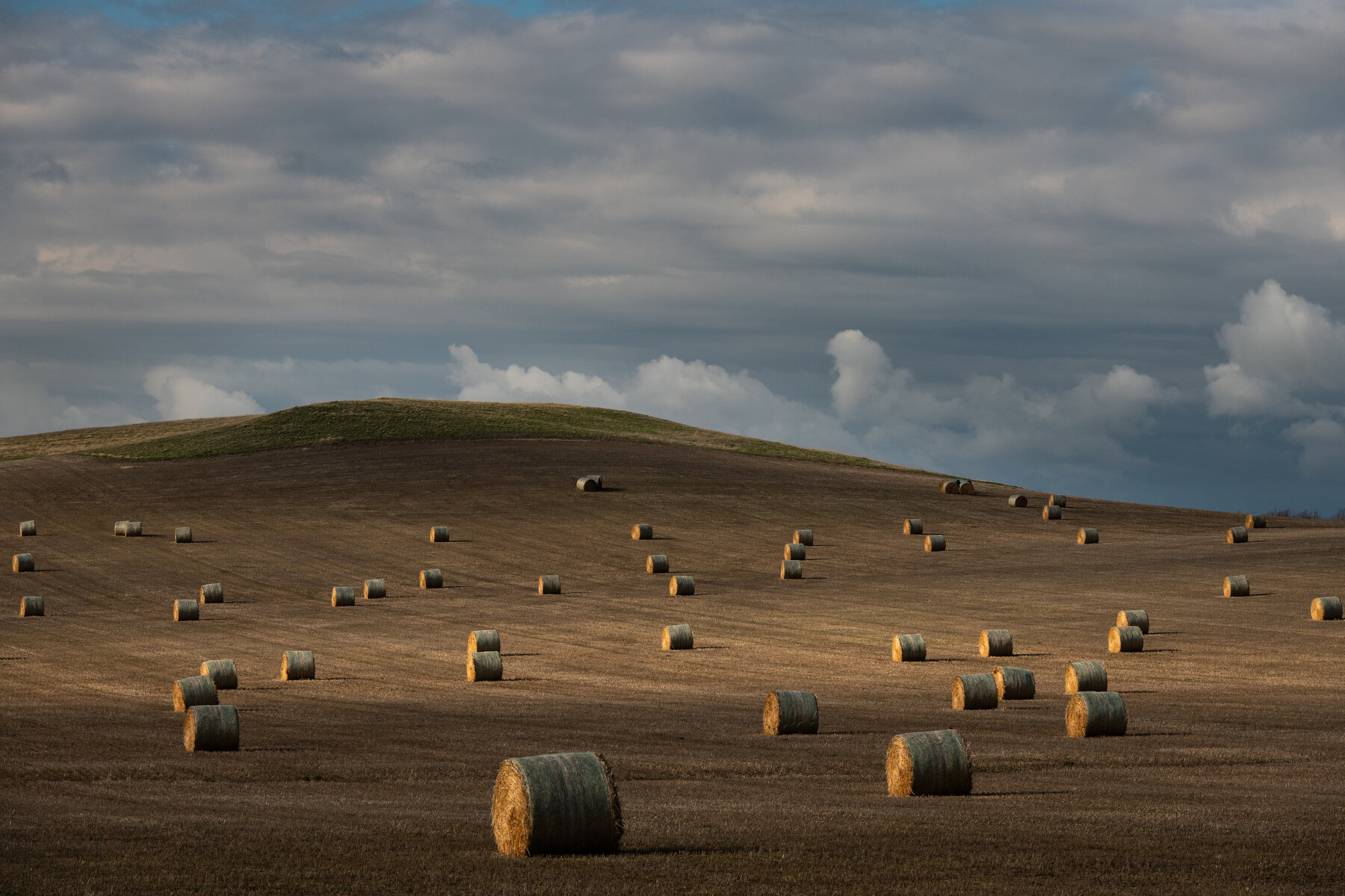  Bales of harvested wheat sit in a field in the old former town of Indian Creek, SD. 