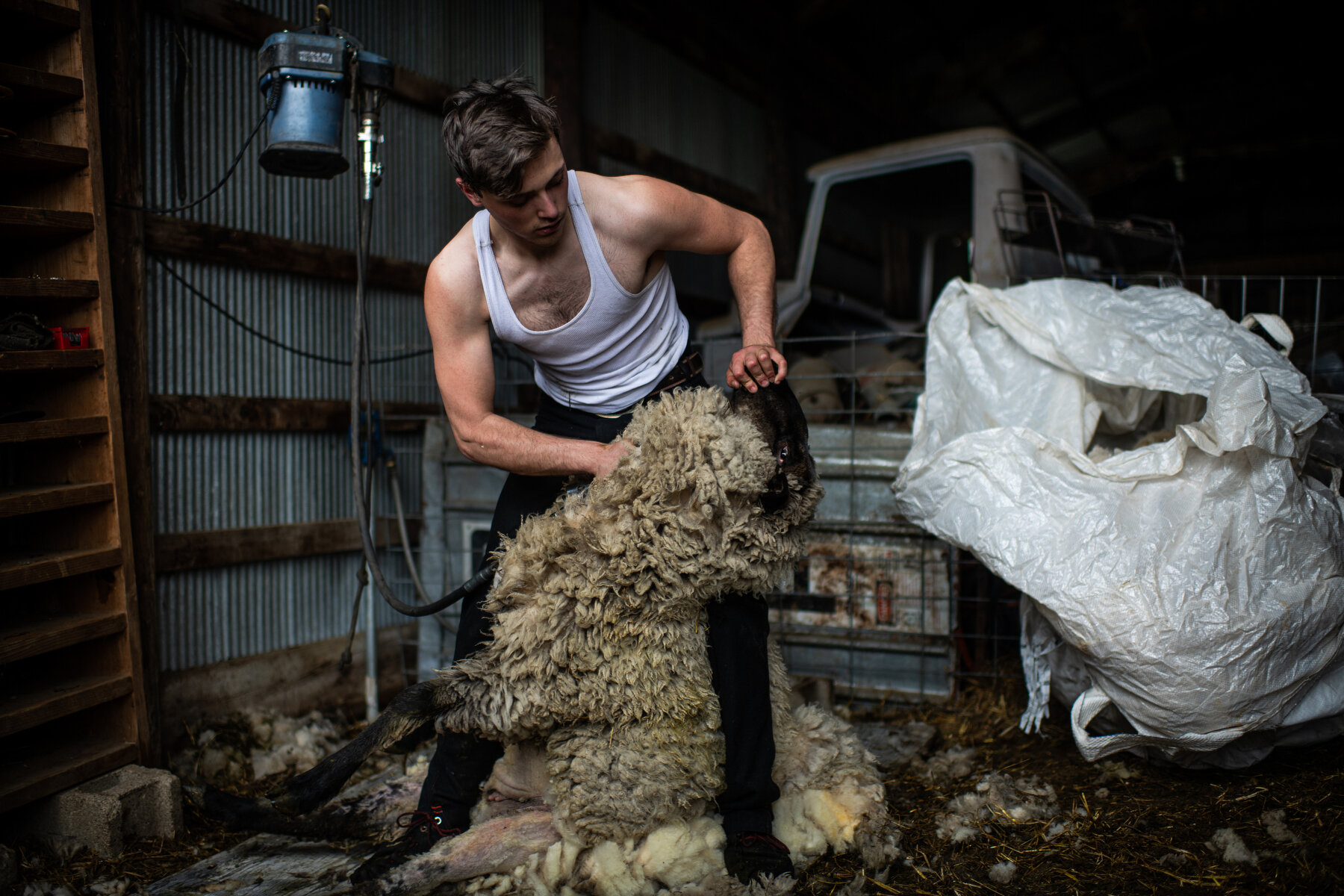  Braden Kopren, a rising high school senior committed to join the South Dakota National Guard, shears sheep on a ranch in Shadehill, SD on May 26, 2019. Kopren has been shearing sheep for four years, taking after his father who traveled the country s