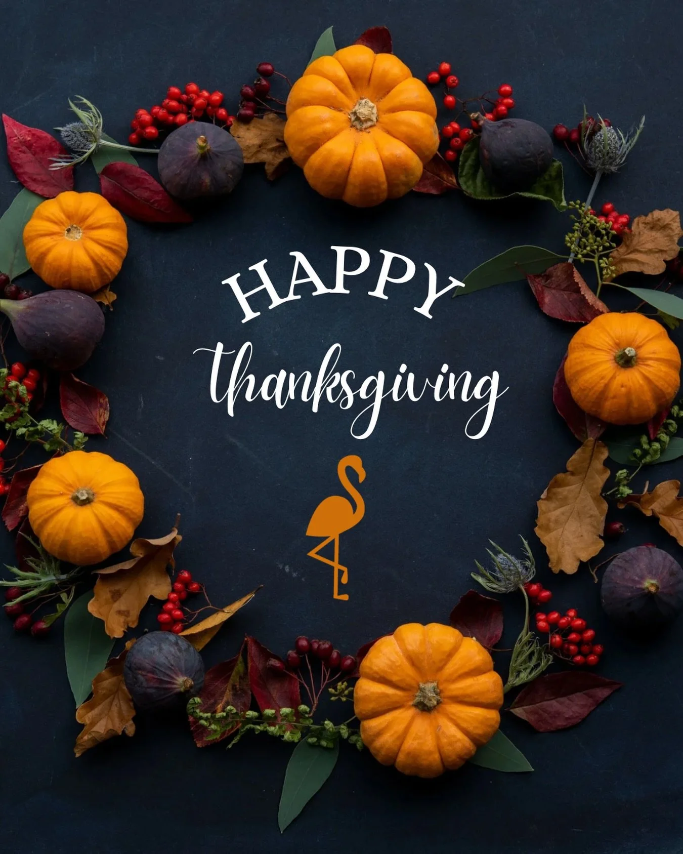 Our flock is such a gift. 🦩
Beyond grateful for each and every one of you. 🤍

Wishing you a wonderful Thanksgiving surrounded by family, friends, and all the warmth this season brings.
#weloveyourface